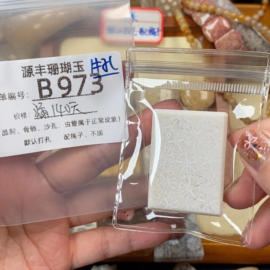 y***z未镶嵌颈饰硅化玉