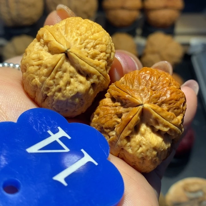 核桃豆包三棱尺寸33