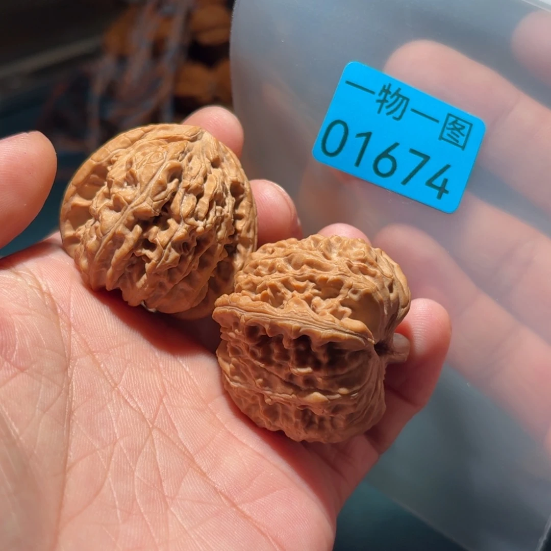 文玩核桃把件白狮子