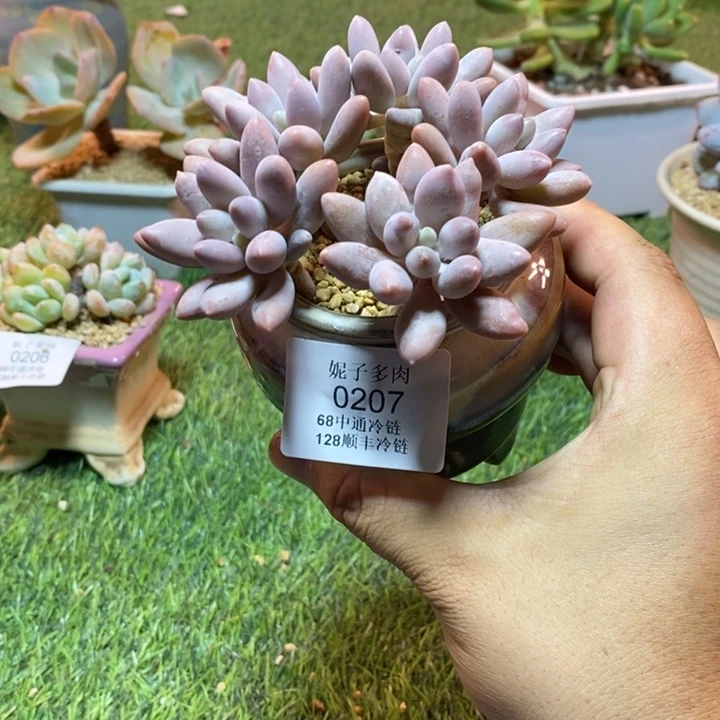 0207啊啊啊啊啊啊啊啊啊