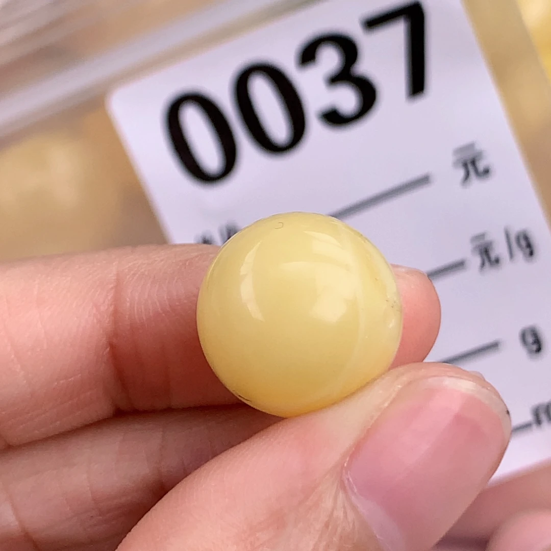 蜜蜡未镶嵌珠宝奇石14.2 植物