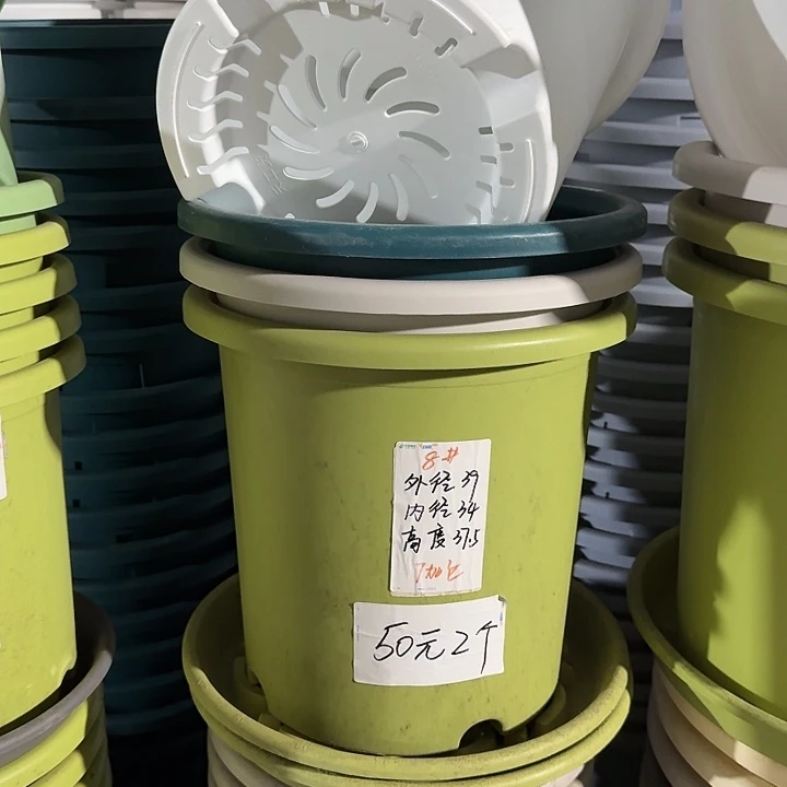 四季8#口径40无托果绿5个