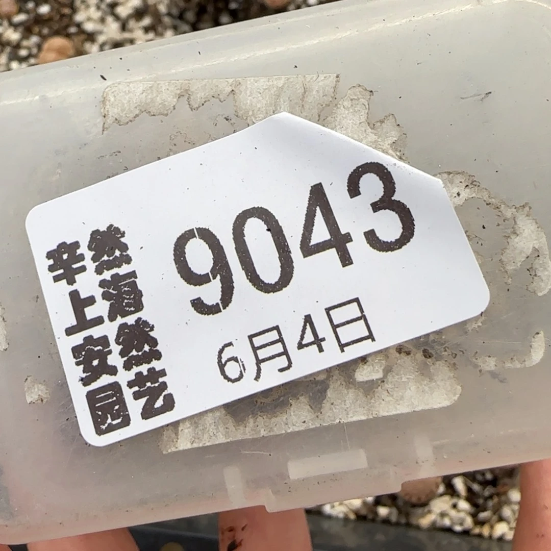 芝***-6.4。217饼干。9043。