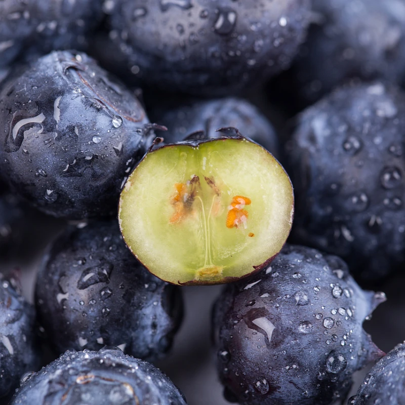 云南高山L25蓝莓水果24MM新鲜顺丰包邮抚仙湖澄江纯甜无酸蓝莓1600g800gL25浙江省嘉兴市