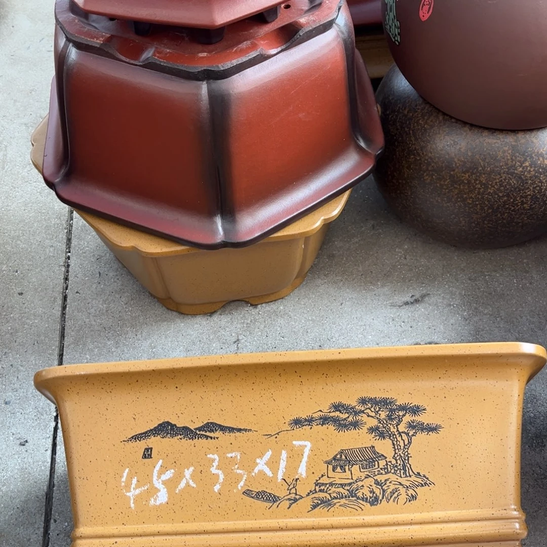 花盆紫砂盆景艺术