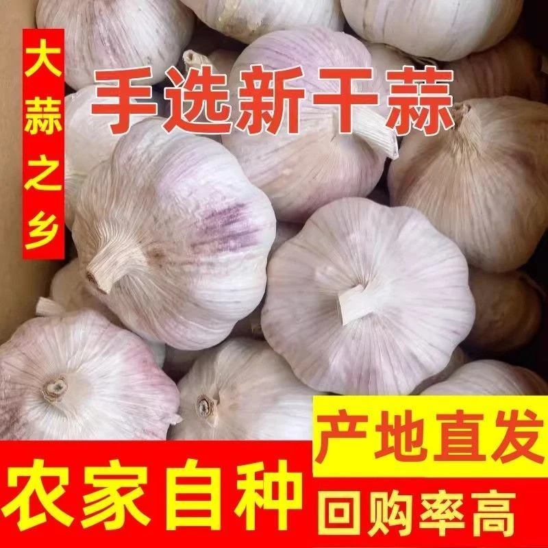 【2025新大蒜】5斤新干蒜农家直发大蒜紫白皮干大蒜头蒜1斤3斤9斤