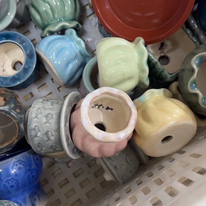 花盆花盆花盆花盆