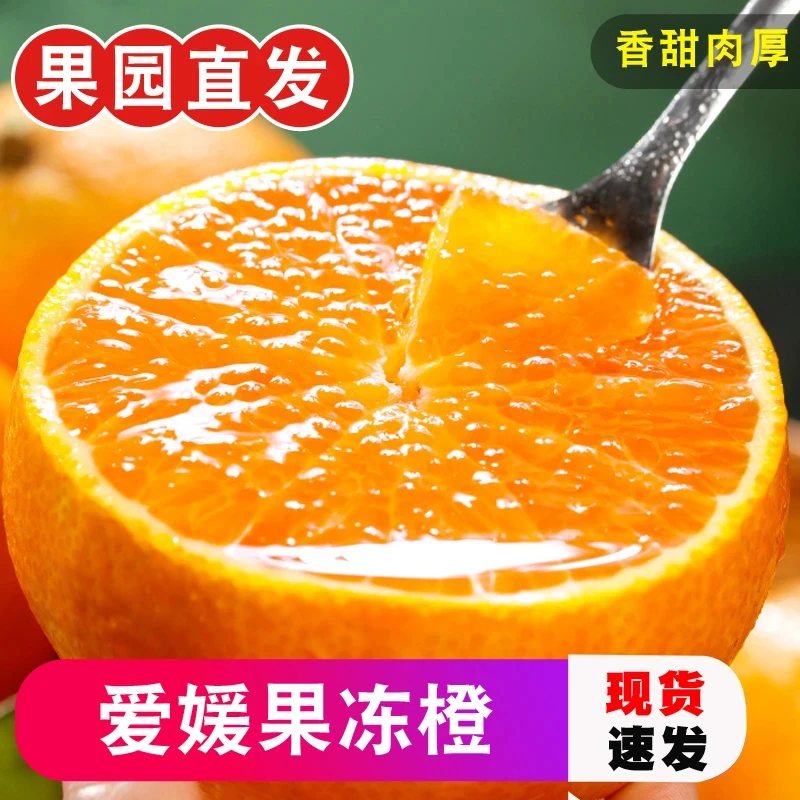 爱媛果冻橙 带箱五斤 80-100mm精品果王商超品质
