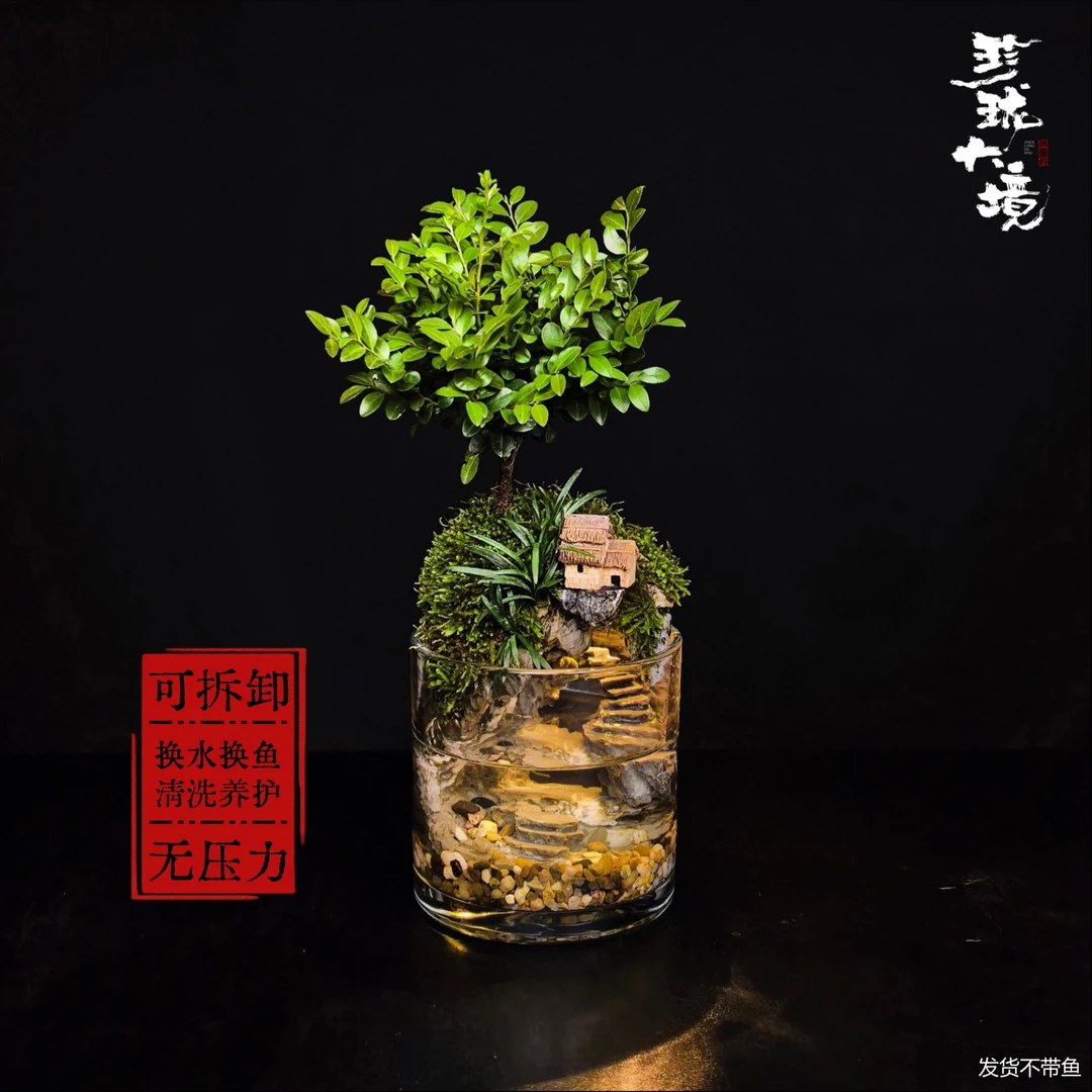 [步步高升Ga]丛林紫檀带灯可拆洗绿植国风摆件鱼缸12*12cm