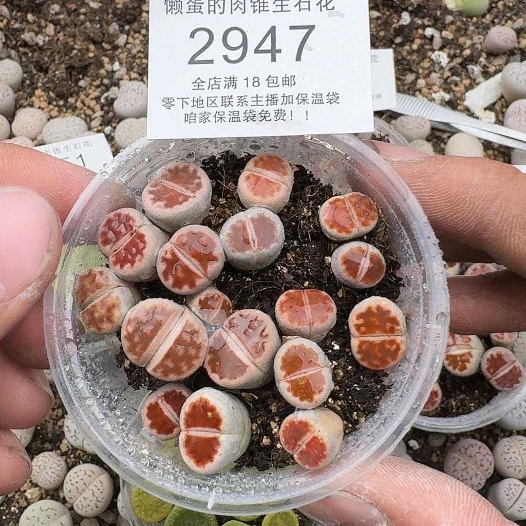 2947满18包邮 保温袋联系客服