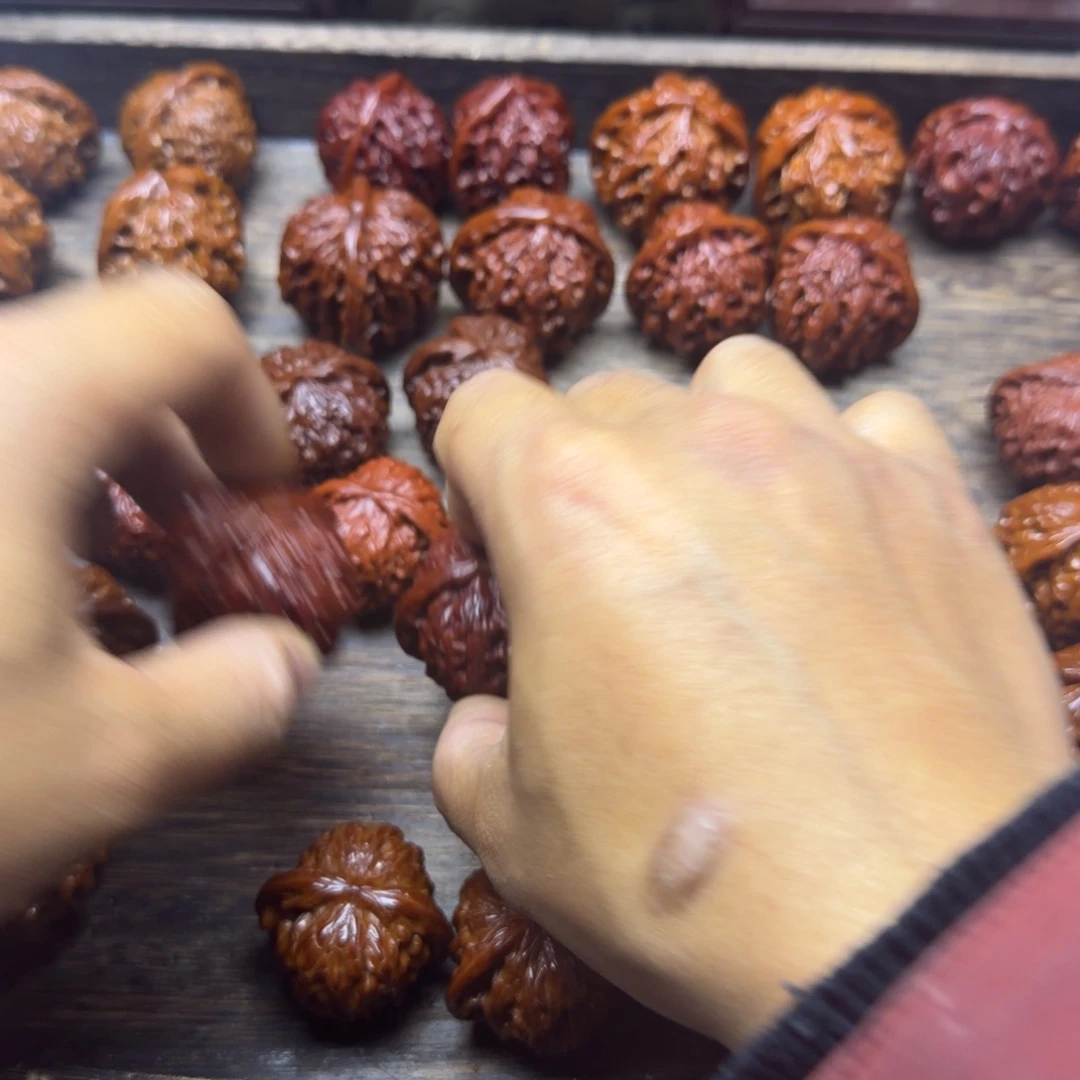 7***8白狮子宝贝宝贝宝贝