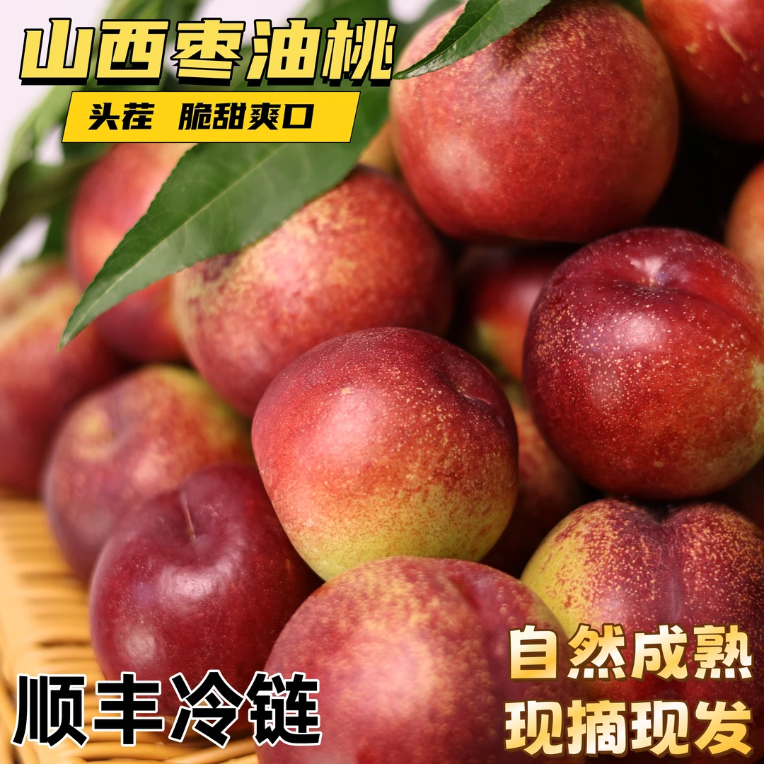 【当季水果】山西运城珍珠枣油桃新鲜水果现摘现发正宗枣油桃口感好