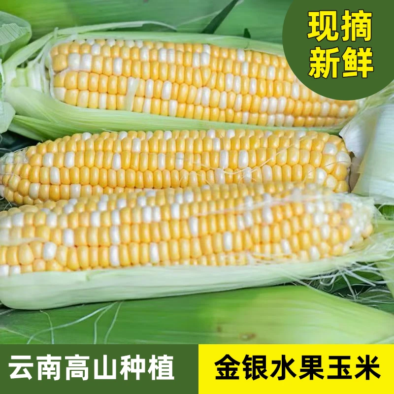 云南新鲜水果玉米带壳带须可生吃爆浆甜脆即食