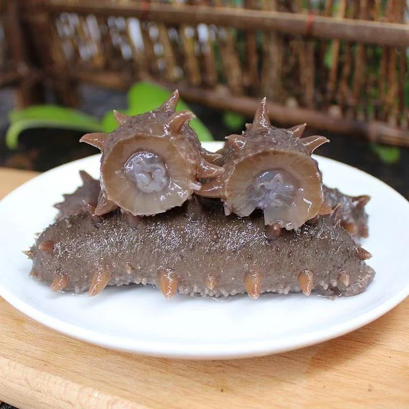 30头大连深海海参现场拍现场挑即食海参软糯Q弹