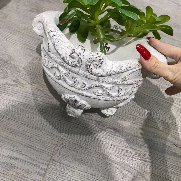 花盆5588888000000000000000