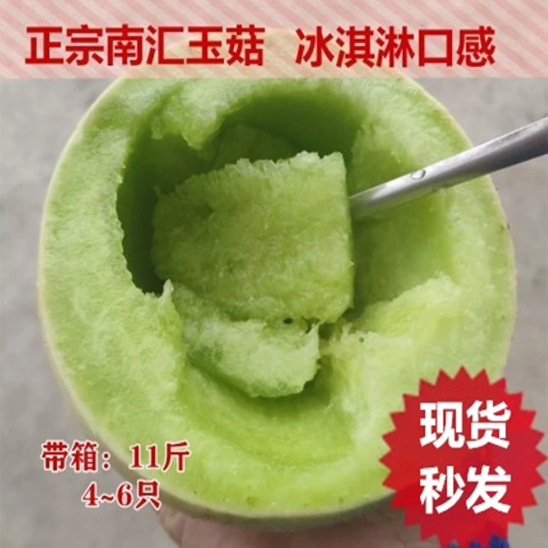 顺丰包邮正宗上海南汇玉菇甜瓜青皮绿肉蜜瓜10斤新鲜水果冰淇淋香瓜超甜糯5斤上海市