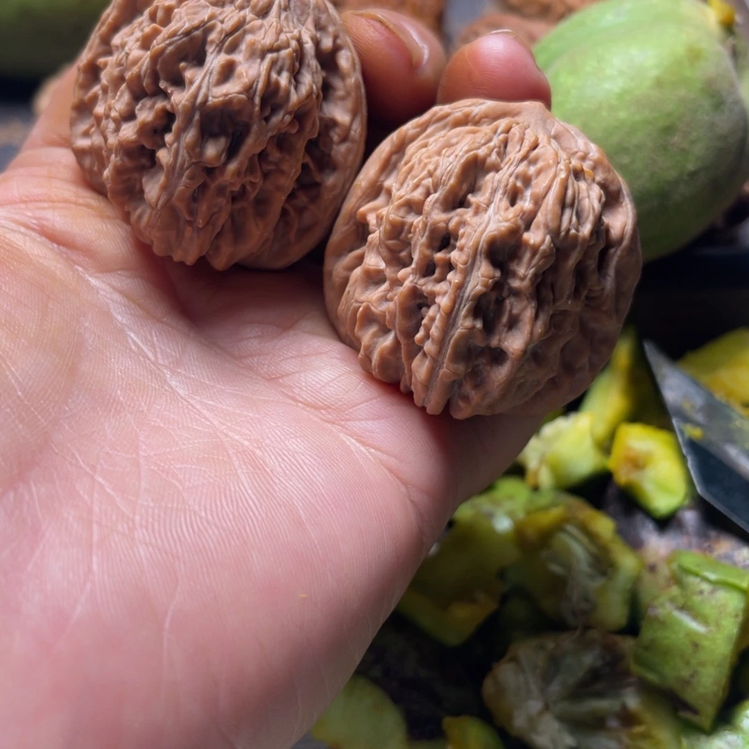 全品无修四座楼41