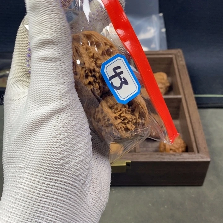 唐***榆核桃等经济林果地