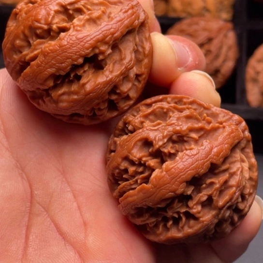 文玩核桃把件秦岭山脉核桃