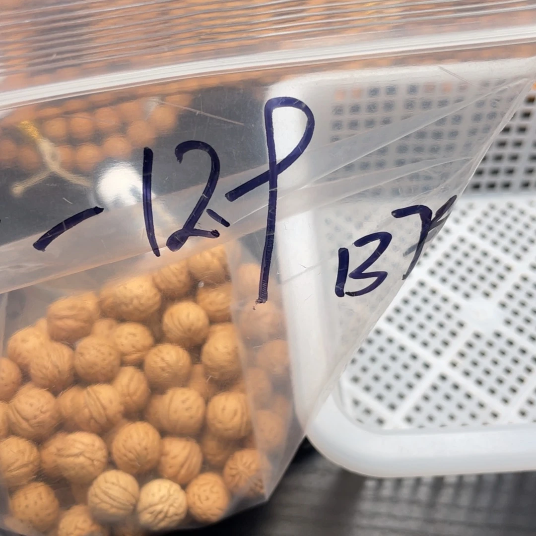 【闪购商品】青*儿散子