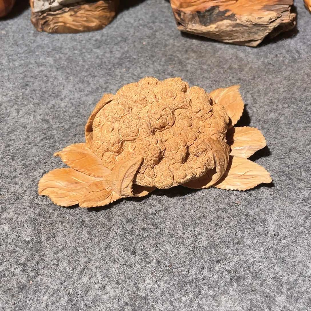 柏木（崖柏）太行崖柏