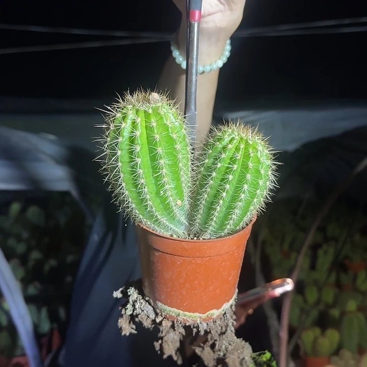 涵***涵克斯丁哈哈哈哈哈哈哈