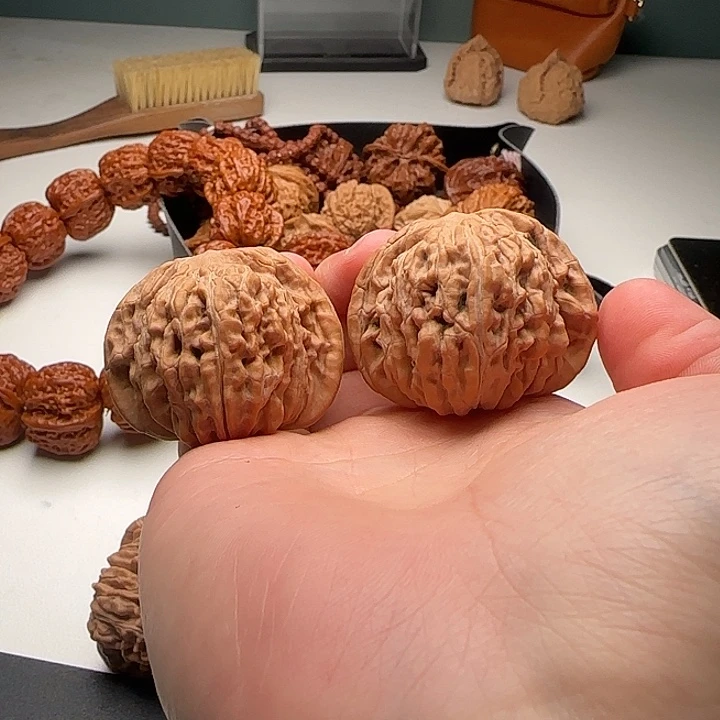 42-39-33全品矮桩肉球一代铁楼C16号