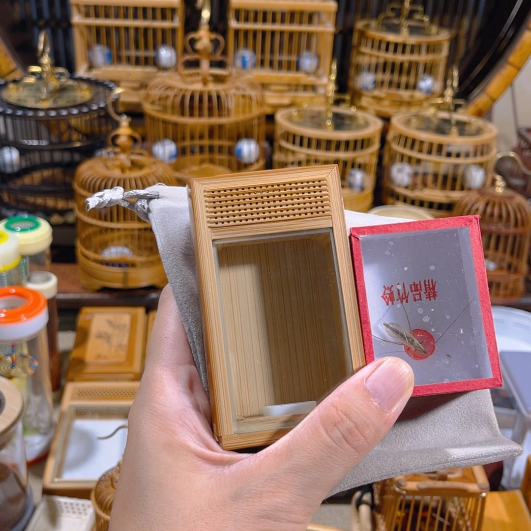 蟋蟀送黑竹蛉一只