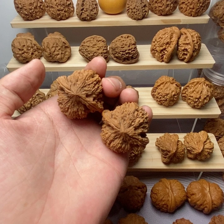 把件核桃40尺红皮老树满天星