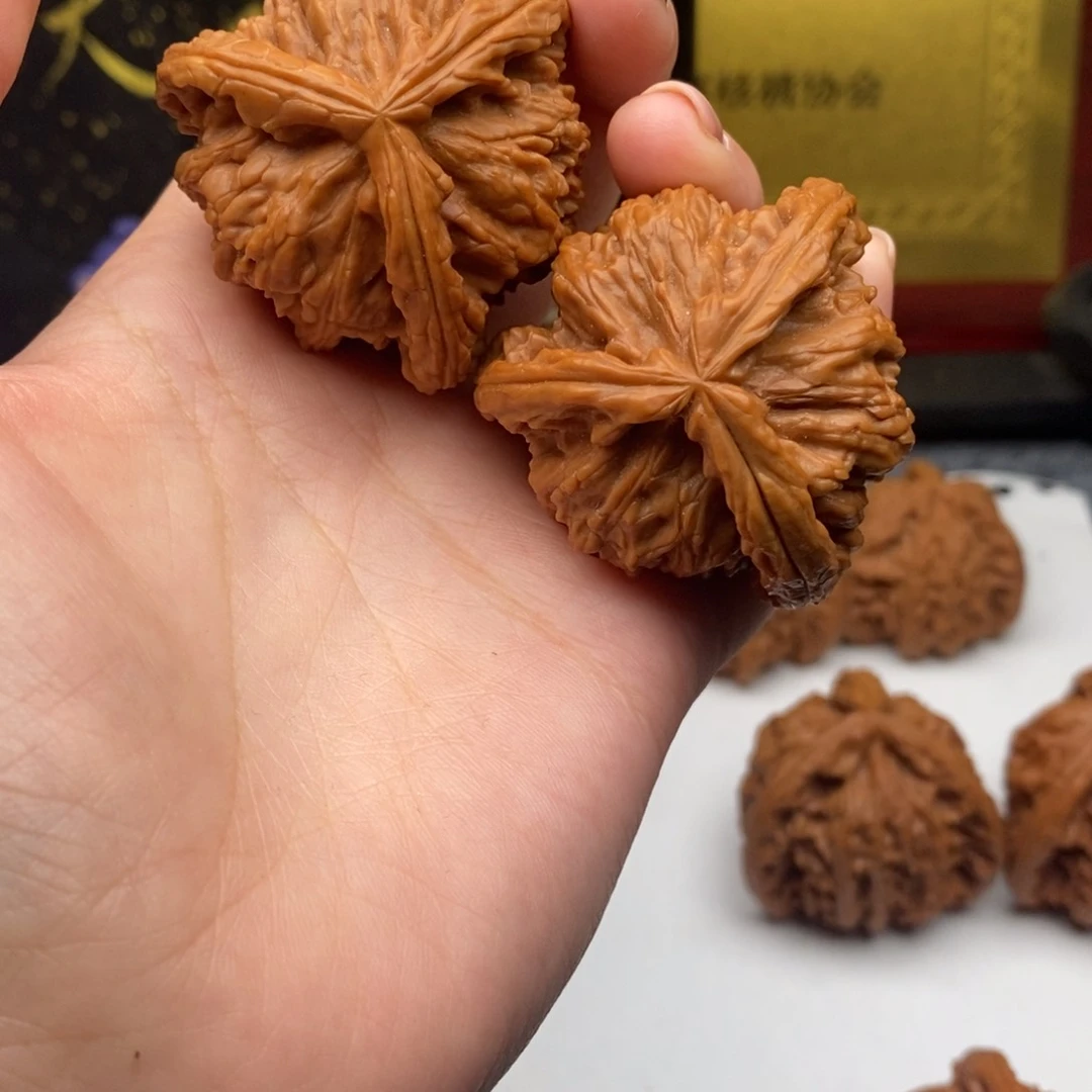 慕*礼白狮子1111111111