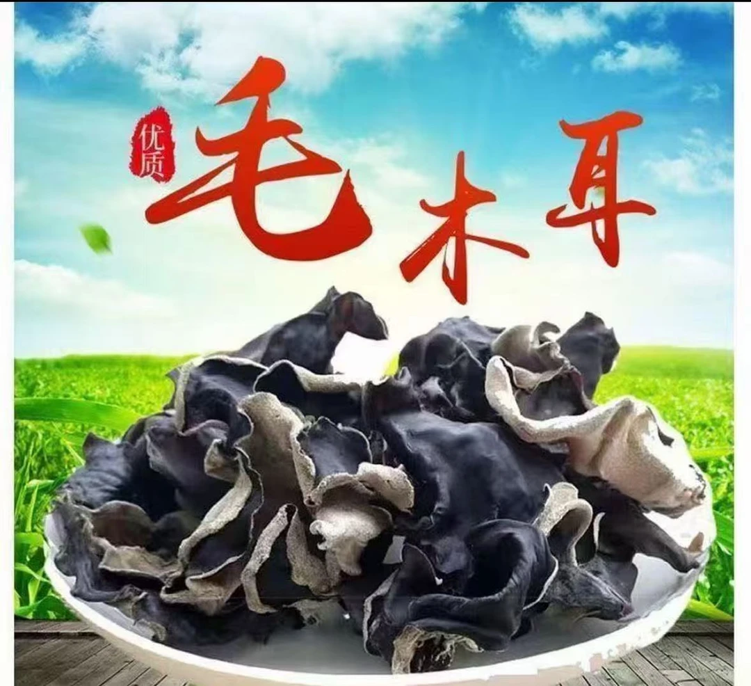 头茬干木耳特产干货精选白背木耳耳肉大肉肥