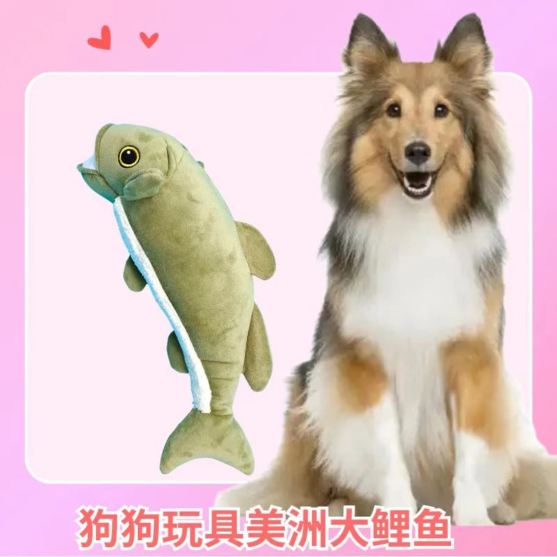 狗狗玩具美洲大鲤鱼大号毛绒发声磨牙响纸泰迪柯基金毛中大狗玩具