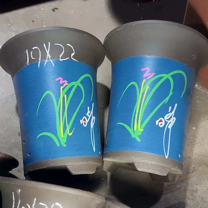 周深周深周深周深周深