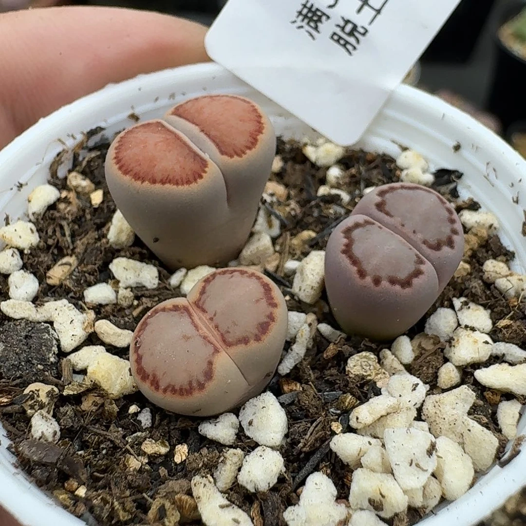 494哈哈哈哈哈哈哈哈哈哈