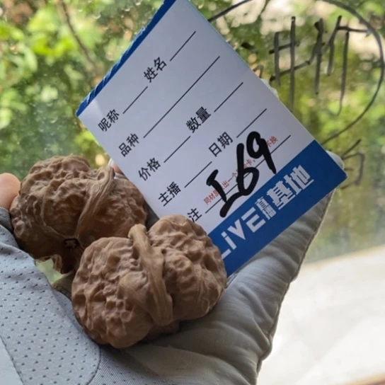 文玩核桃吊坠A****?41蛤蟆头