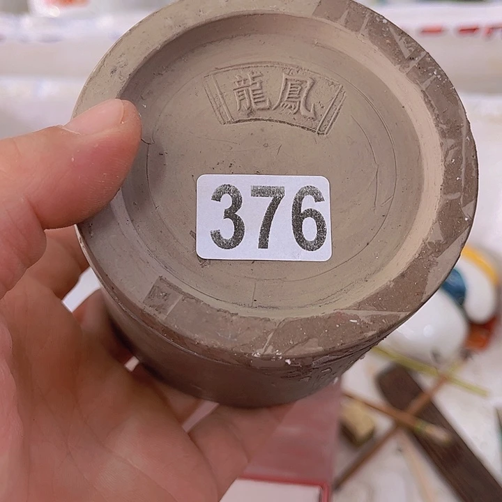 岁***歌4674755676456666677