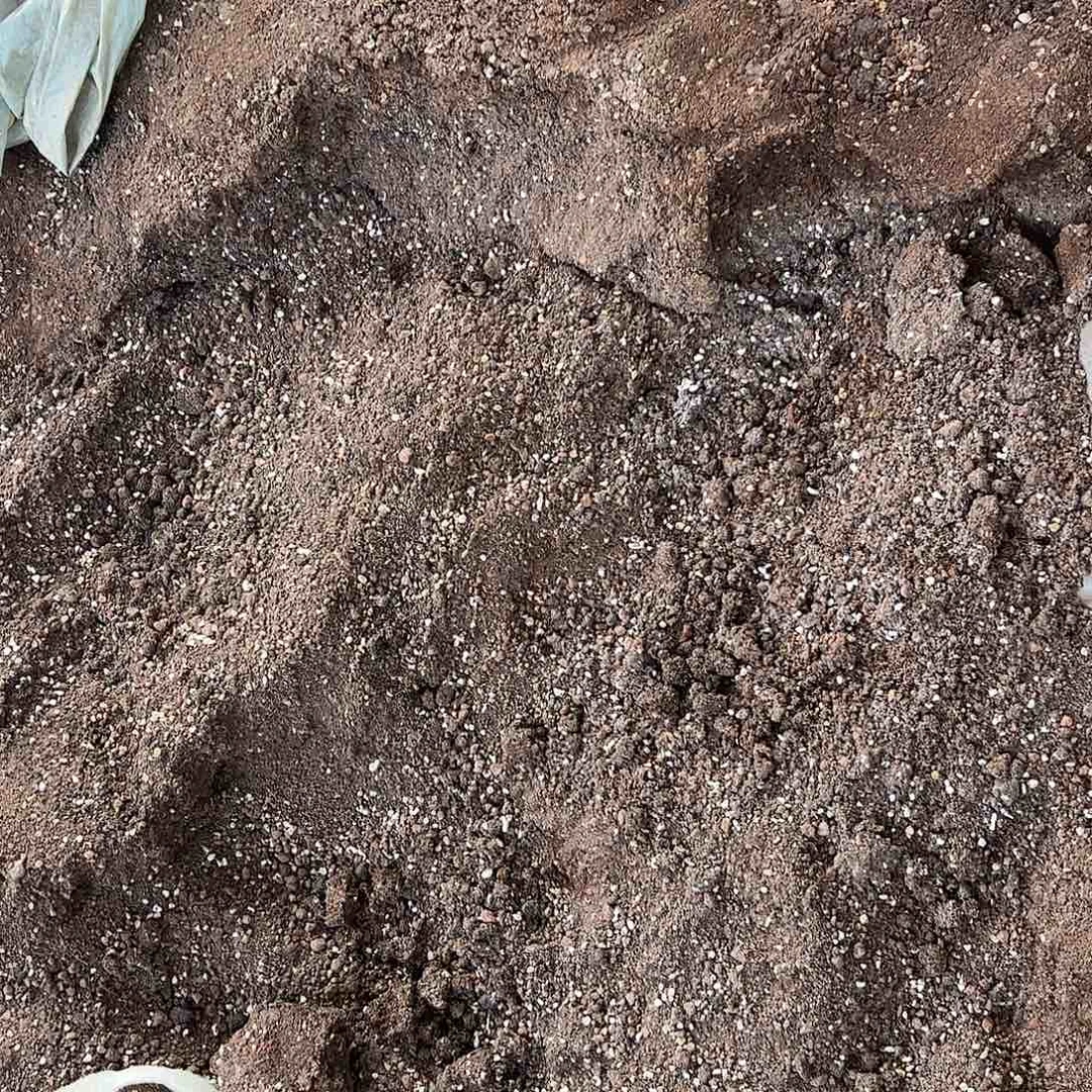 无花朵颗粒土百分30颗粒十斤