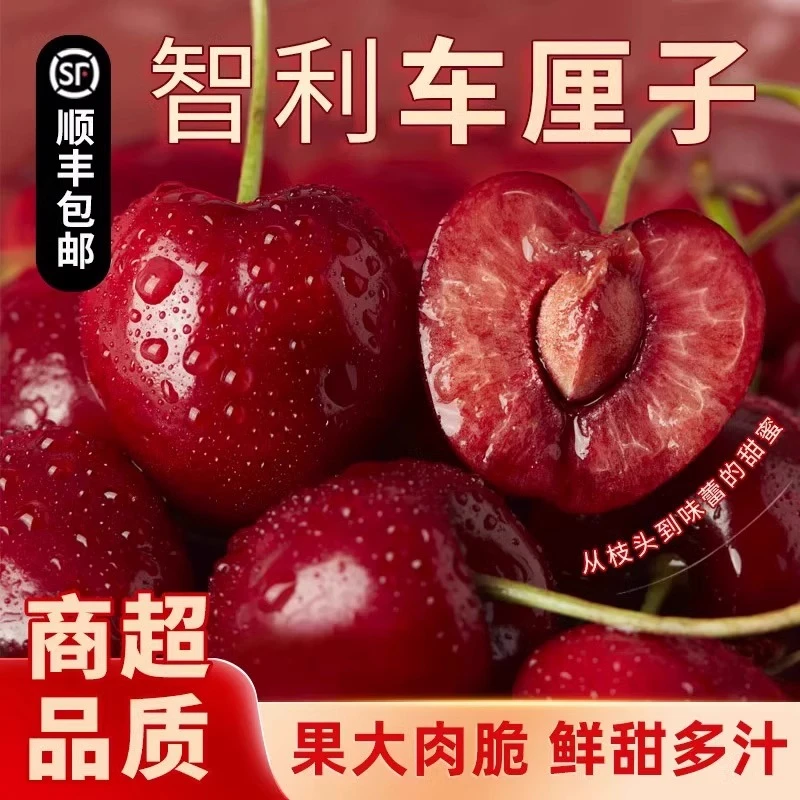 智利海运桑提娜进口车厘子2J~4J/5斤特级礼盒内附果径卡包邮桑提娜樱桃智利共和国