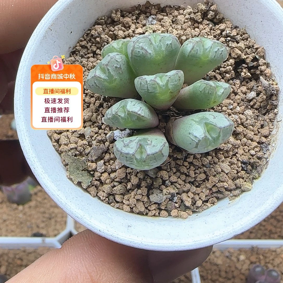 哈哈哈哈哈哈哈53502