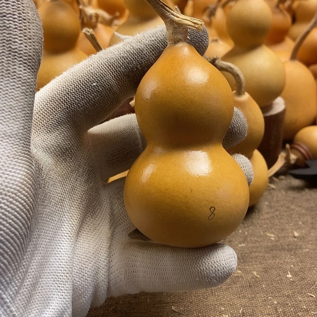 文玩葫芦 完美主义者 慎拍8