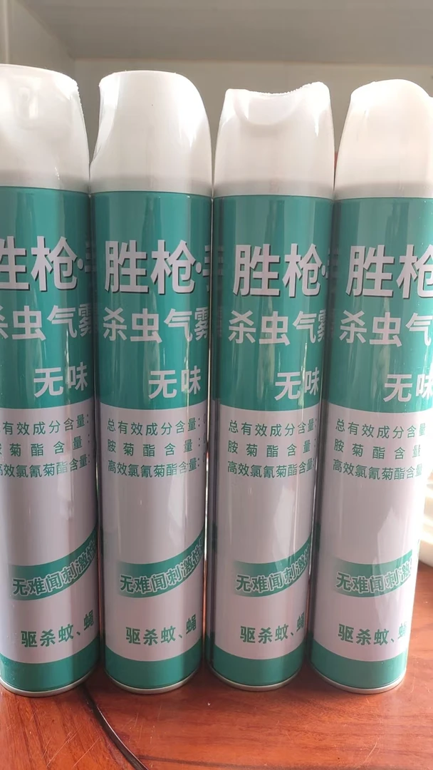 胜枪杀虫气雾剂家用室内喷雾剂气雾剂驱蚊持久杀蚊环保酒店