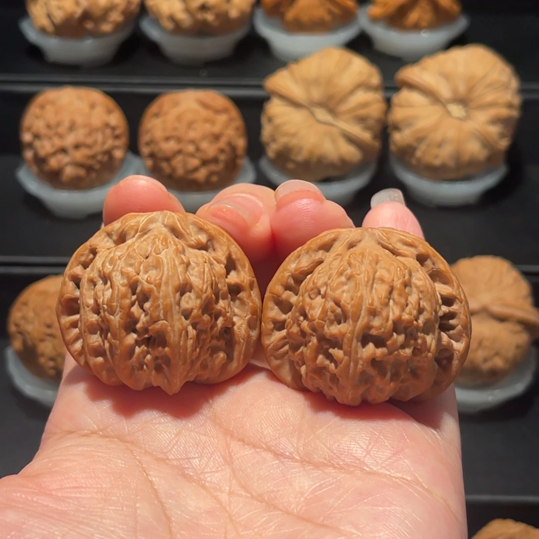 全品，精品，39白狮子180