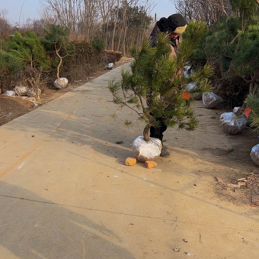 荣**林88888888888888888