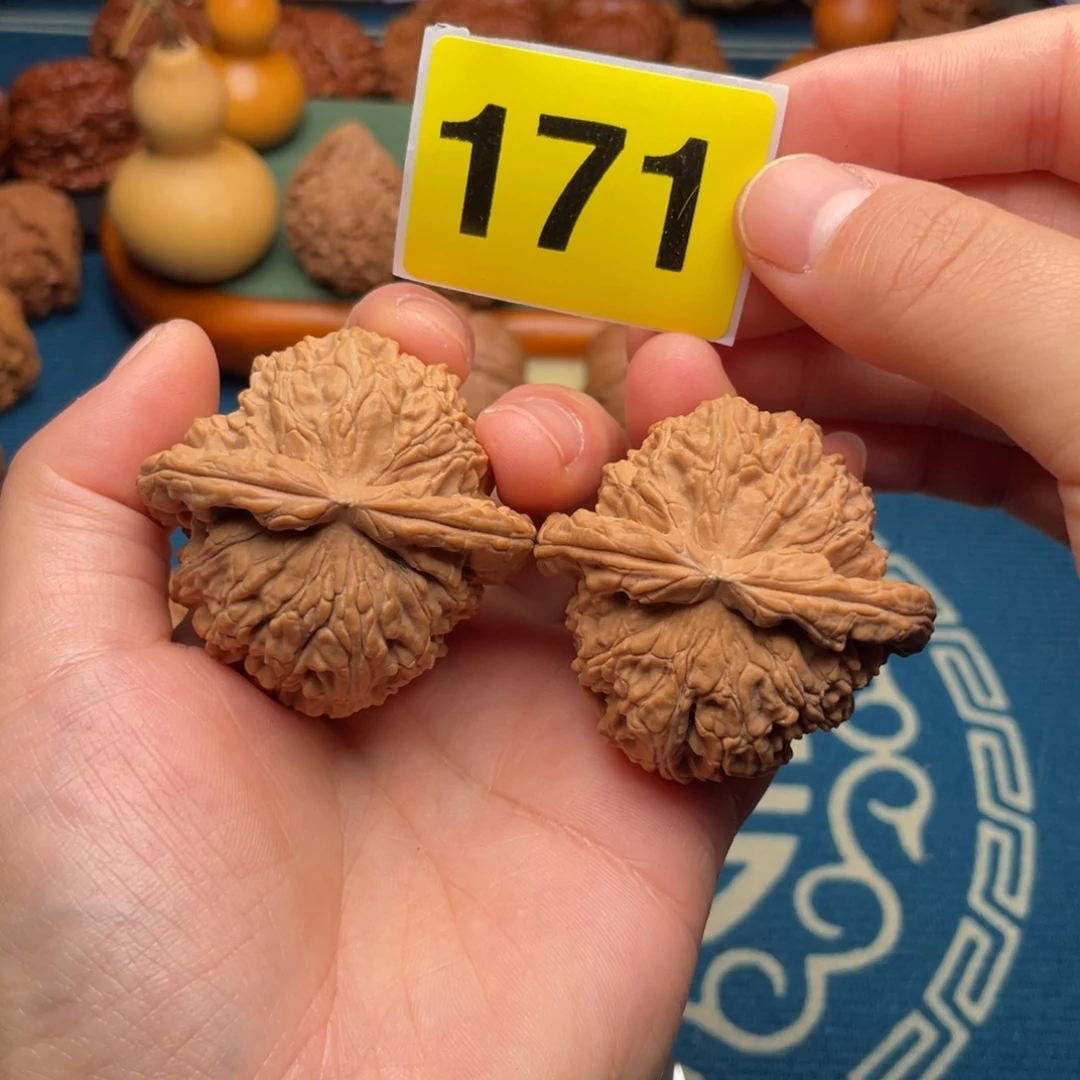 文玩核桃把件46.5全品白狮子171号