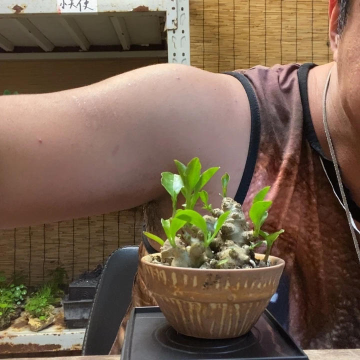 一物一拍所见即所得222