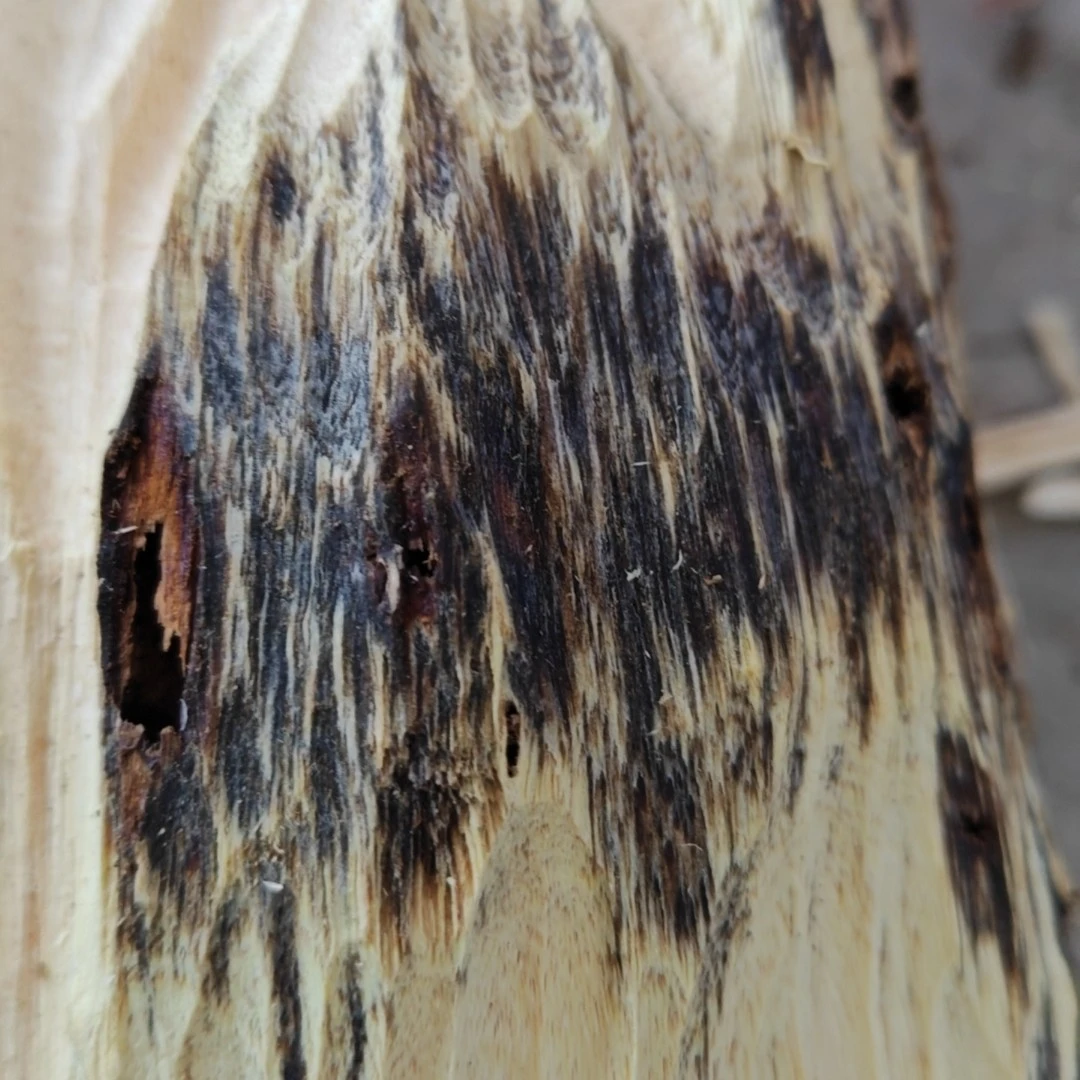 奇楠沉香老树熏香料