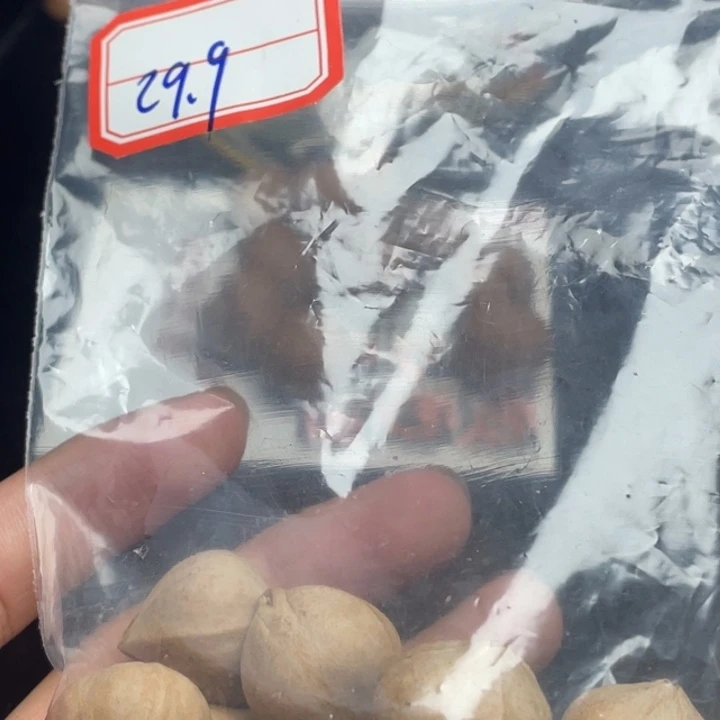 手串/手链橄榄核1.9