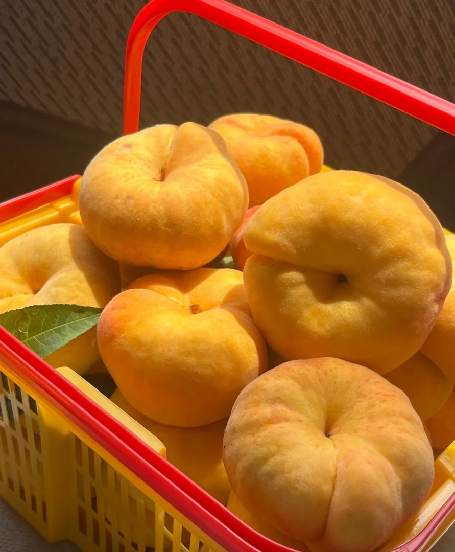 山东蒙阴黄毛蟠桃现摘现发甜嫩多汁❗️新鲜应季水果皮薄肉厚核小
