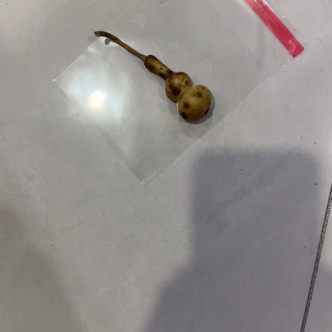 大***王青皮不包成青皮不包成