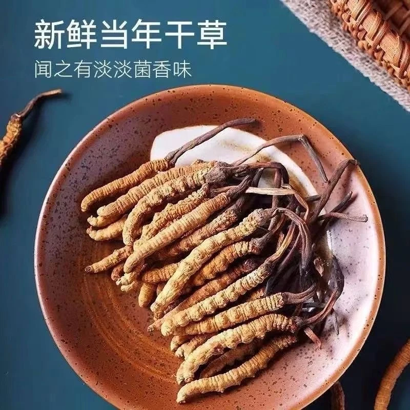 【甄选4-5根/克藏区整草】2025头期虫草干草泡酒煲汤滋补正宗送礼